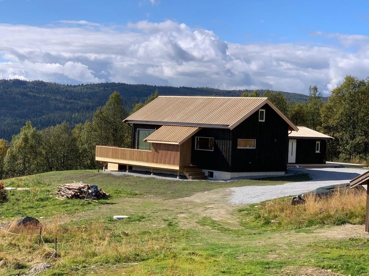 Na Er Vinteren Kommet Til Hallingdal Ал Екстериор снимка