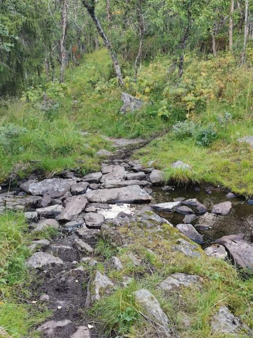Na Er Vinteren Kommet Til Hallingdal Ал Екстериор снимка