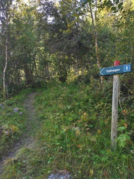 Na Er Vinteren Kommet Til Hallingdal Ал Екстериор снимка