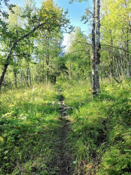 Na Er Vinteren Kommet Til Hallingdal Ал Екстериор снимка