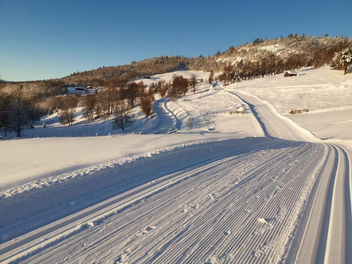 Na Er Vinteren Kommet Til Hallingdal Ал Екстериор снимка