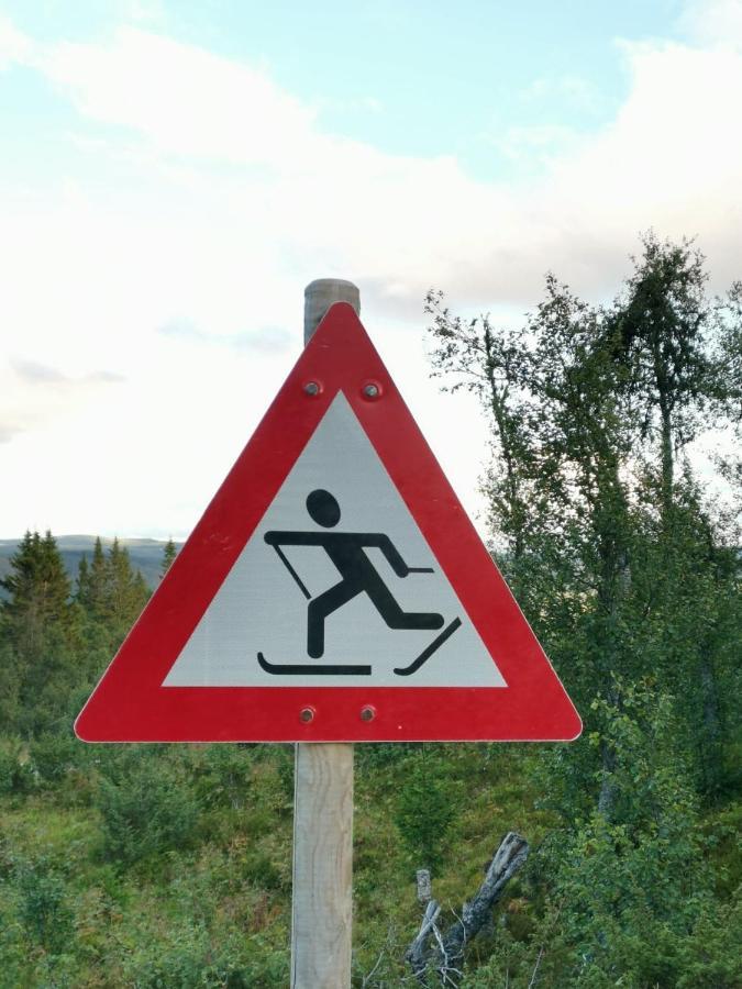 Na Er Vinteren Kommet Til Hallingdal Ал Екстериор снимка