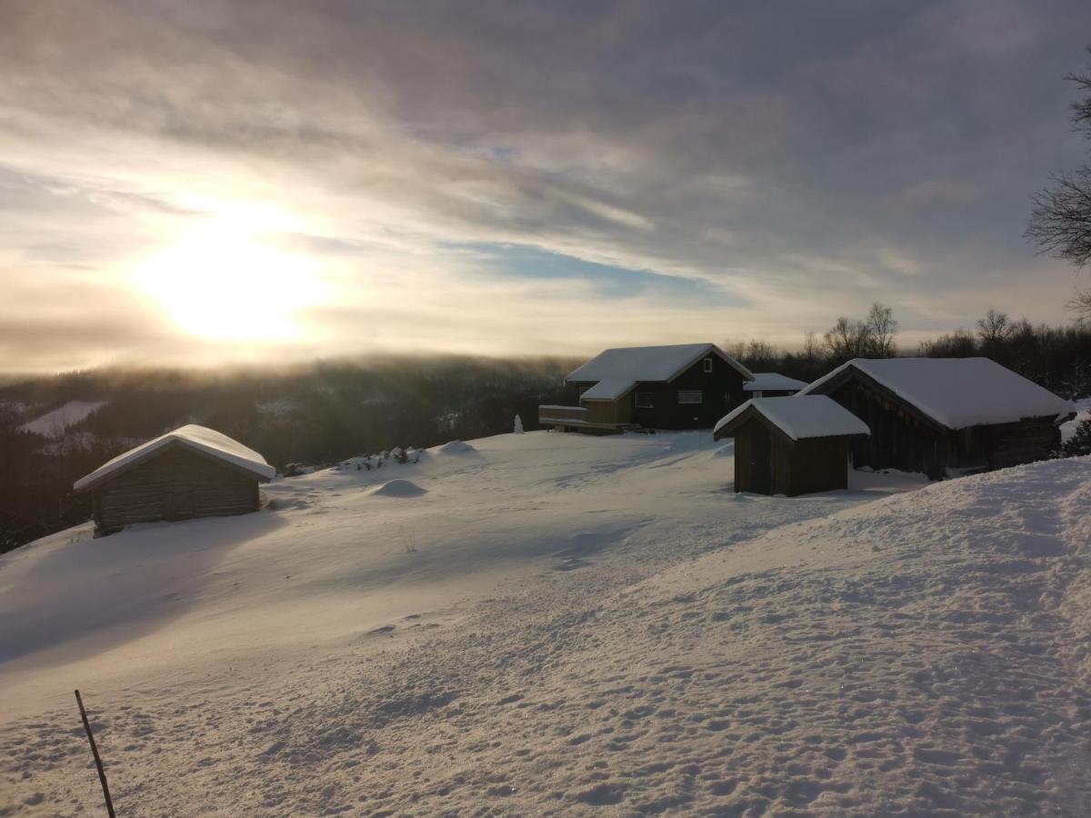 Na Er Vinteren Kommet Til Hallingdal Ал Екстериор снимка