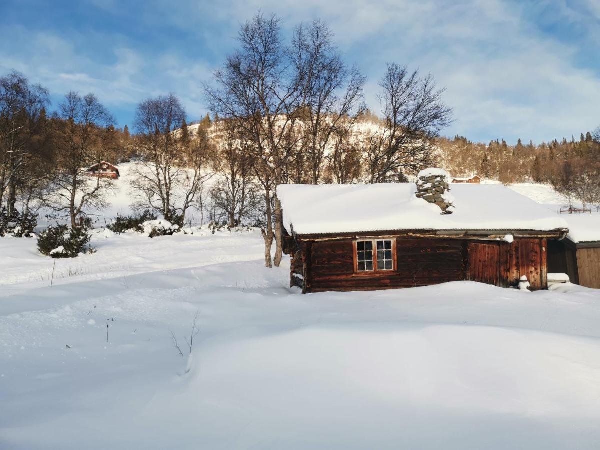 Na Er Vinteren Kommet Til Hallingdal Ал Екстериор снимка