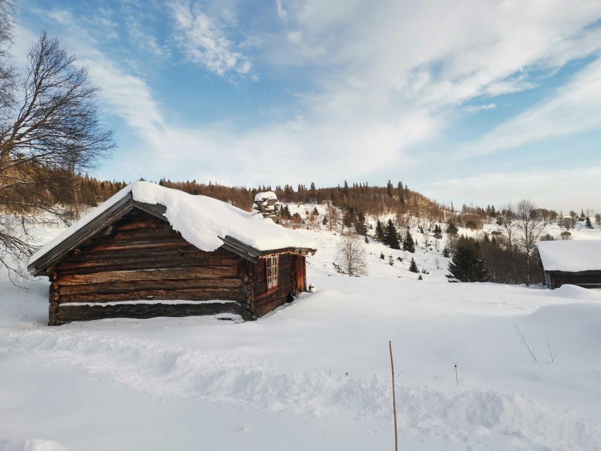 Na Er Vinteren Kommet Til Hallingdal Ал Екстериор снимка